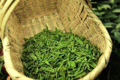 喝麻姑茶对身体有什么好处