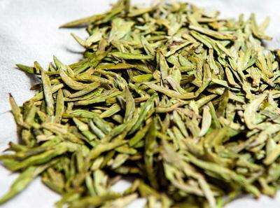麻姑茶的功效与禁忌事项