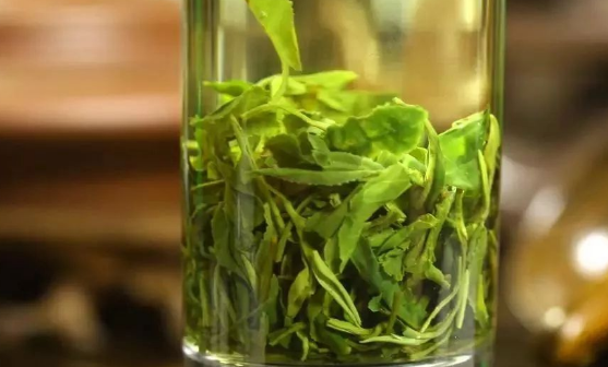 南山寿眉茶的功效与作用 喝南山寿眉茶的禁忌与注意事项