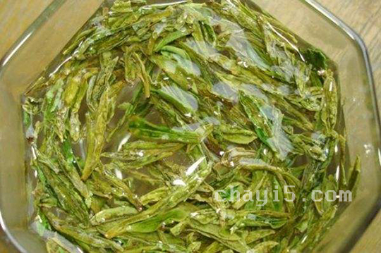 老竹大方的功效与作用 老竹大方什么时候喝最好