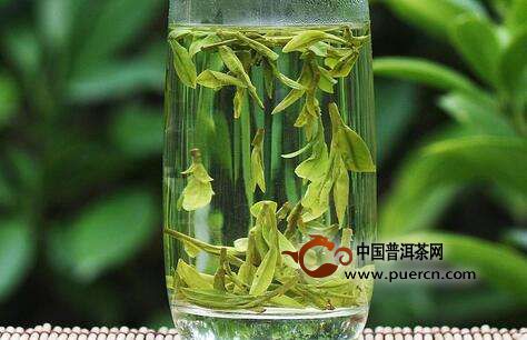 老竹大方茶的选购技巧