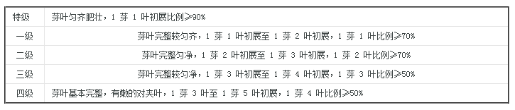 老竹大方茶怎么辨别好坏