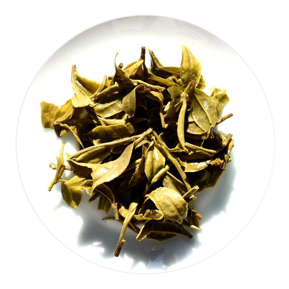 宝洪茶：云南唯一小叶种茶云南龙井茶