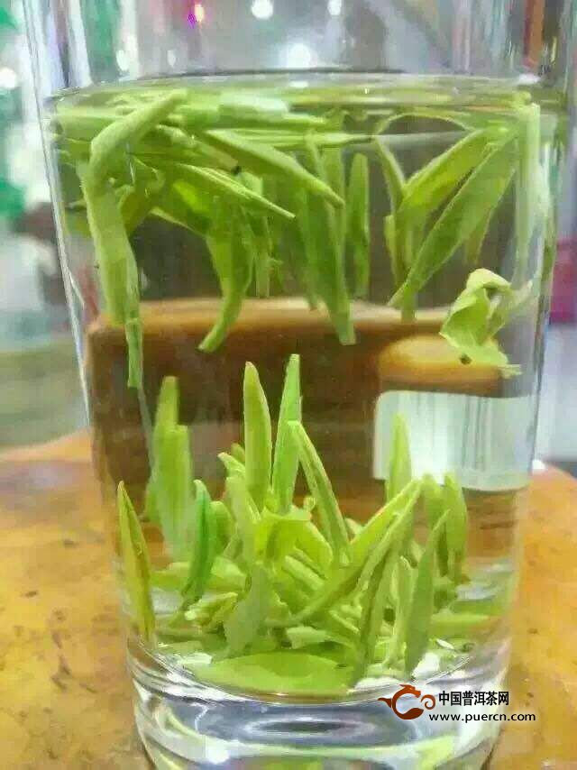 龟山岩绿怎么泡好喝