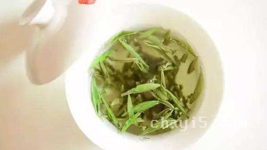 茶叶雪水云绿的作用与禁忌