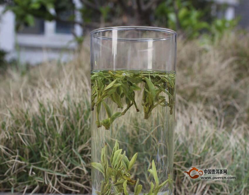雪水云绿茶功效与作用