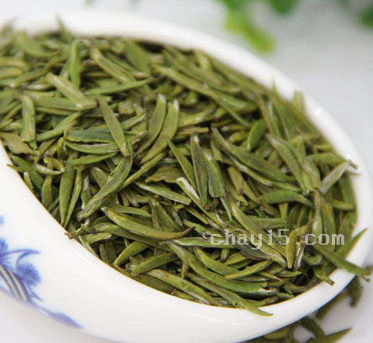 茶叶金水翠峰的作用与禁忌