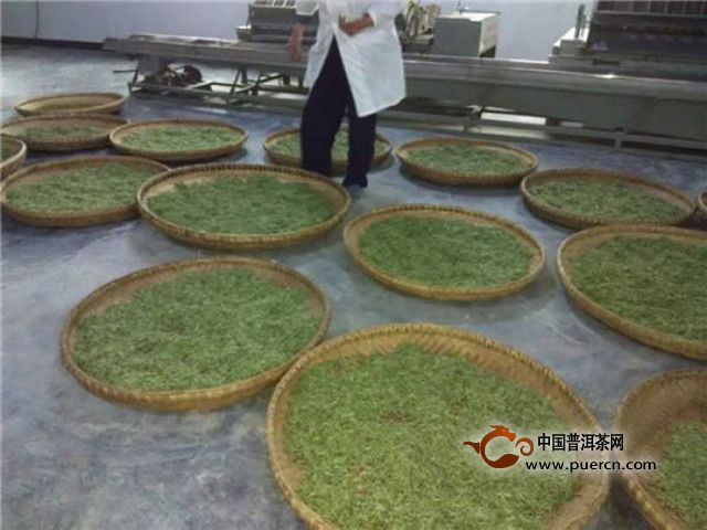 金水翠峰是什么茶