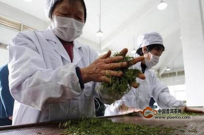 金水翠峰是什么茶