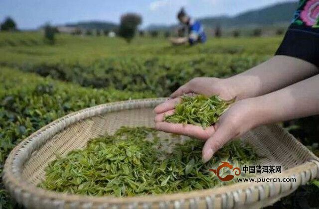 金水翠峰怎么样