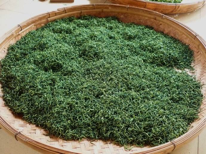 长饮峨眉山茶的功效及作用