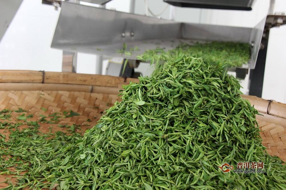 峨眉山茶采制工艺