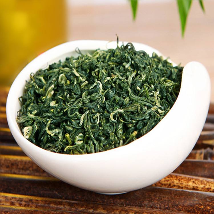 马边云雾茶的功效与禁忌事项