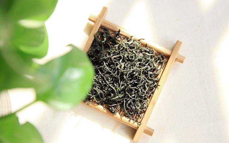 马边云雾茶是什么茶，马边云雾茶怎么冲泡？