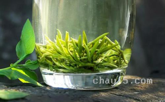 茶叶大悟绿茶的作用与禁忌