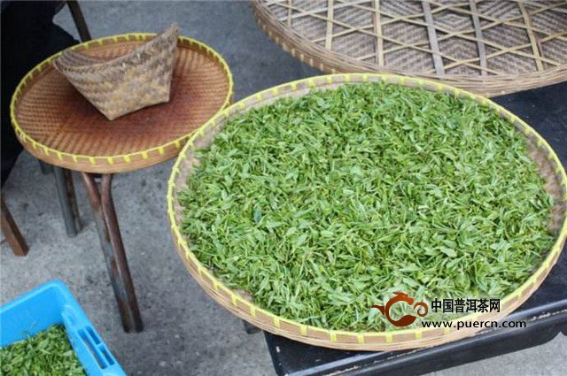 陕南绿茶制作工艺