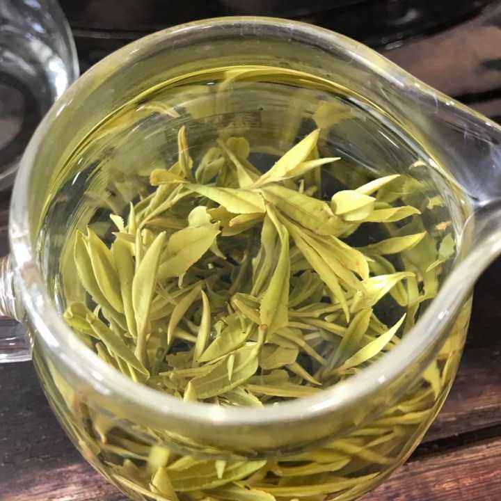 喝龙井白茶对身体有什么好处