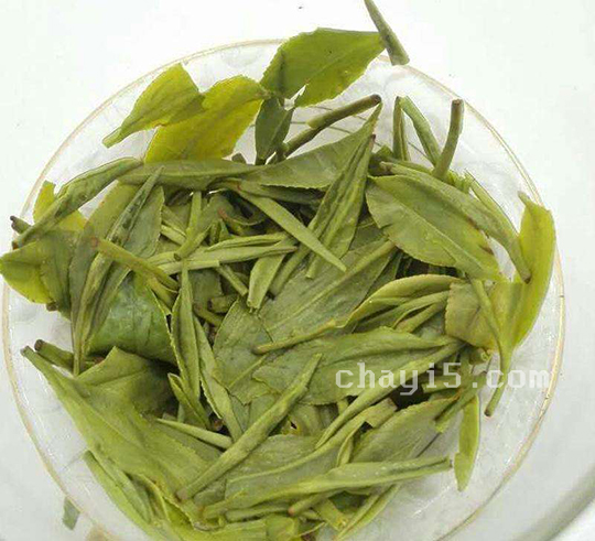 茶叶龙井白茶的作用与禁忌