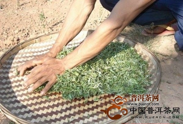 兰溪毛峰的制作工艺