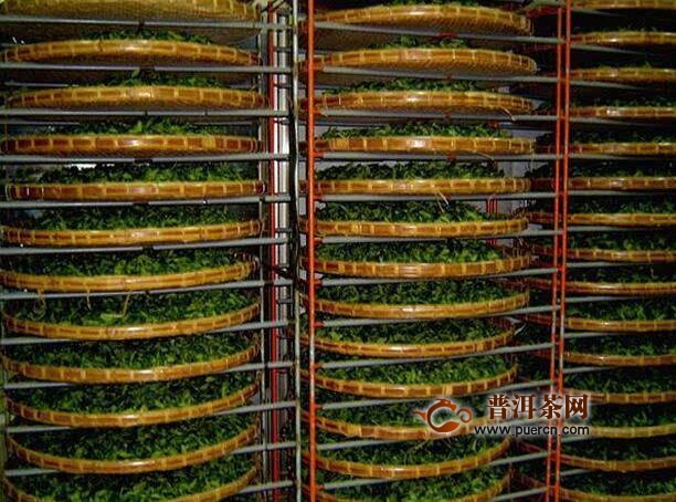 兰溪毛峰的制作工艺
