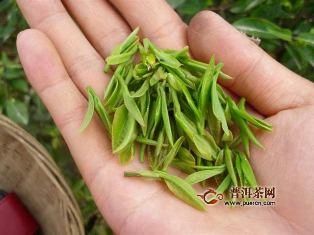 兰溪毛峰茶的产地及特点
