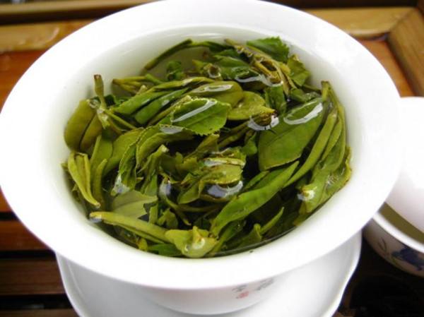 周打铁茶的功效与禁忌事项