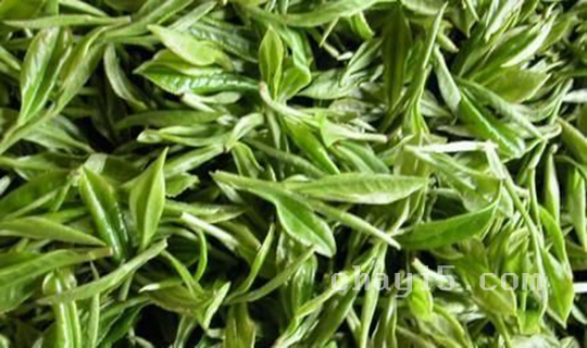 周打铁茶的功效与作用 周打铁茶什么时候喝最好
