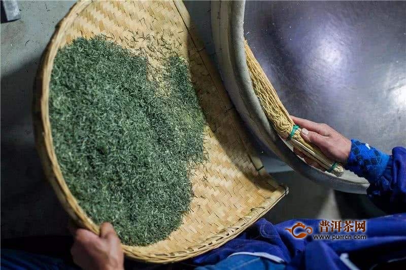 白马毛尖如何制作？白马毛尖采制工艺
