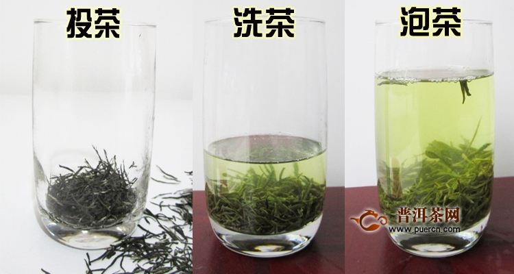 白马毛尖怎么泡好喝？白马毛尖的泡法