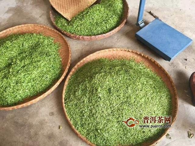 白马毛尖怎么泡好喝？喝白马毛尖的好处
