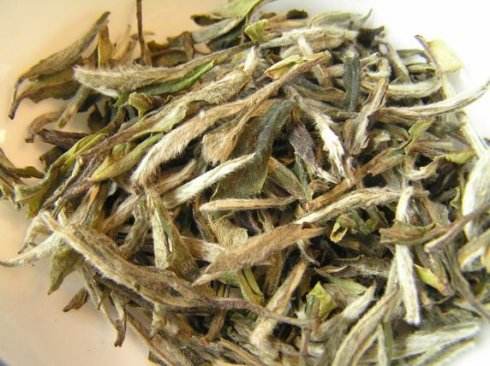 喝云海白毫茶对身体有什么好处