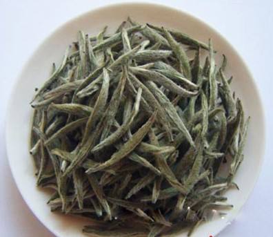 云海白毫的功效与禁忌事项