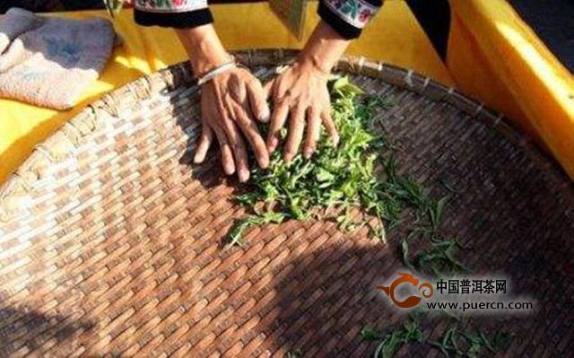 云海白毫品质特点