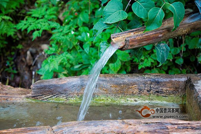 隆中茶的泡法