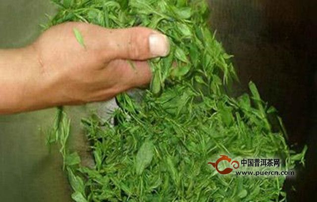 宝顶绿茶采摘工艺