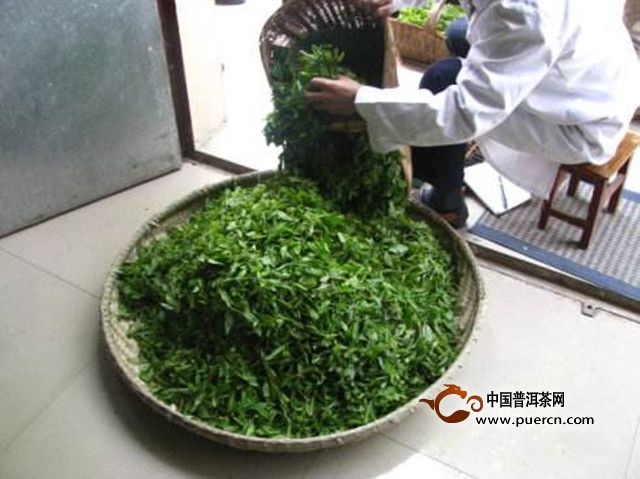 宝顶绿茶制作工序
