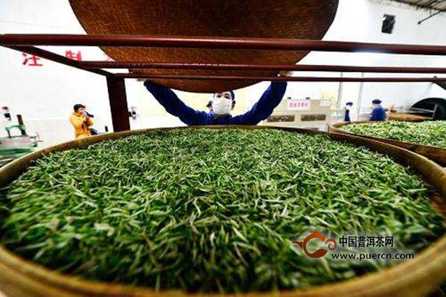 宝顶绿茶