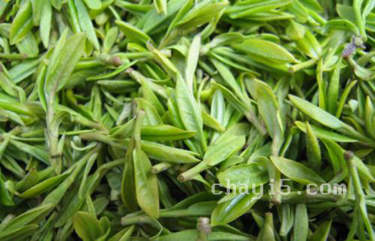 茶叶黄竹白毫的作用与禁忌