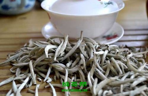 黄竹白毫的功效与作用及禁忌