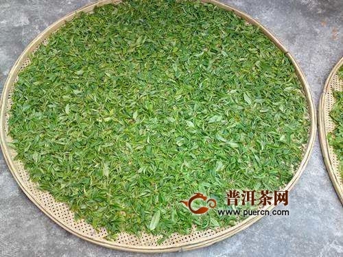 休宁松萝茶制作工序流程