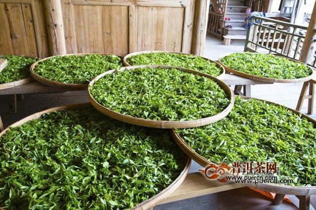 休宁松萝茶产地及制作