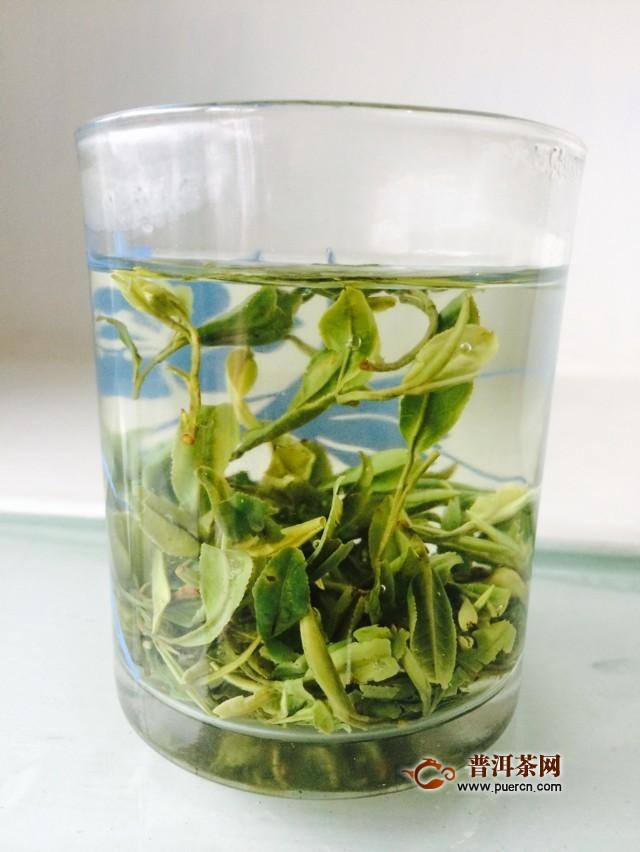 松萝茶泡水喝的功效，常喝松萝茶的注意事项