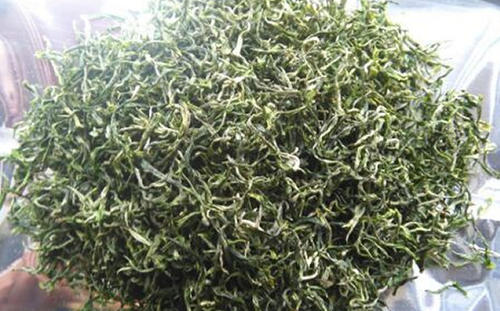 喝秦巴雾毫茶对身体有什么好处