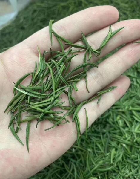 秦巴雾毫的功效与作用 喝秦巴雾毫的好处