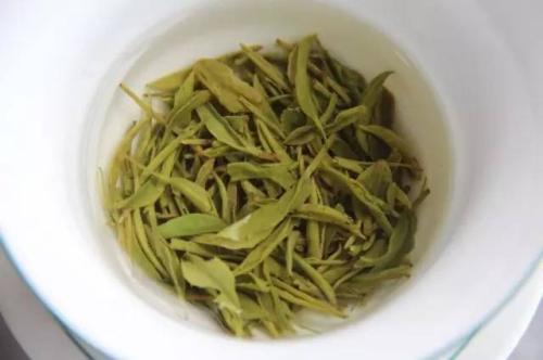 秦巴雾毫的功效与禁忌事项