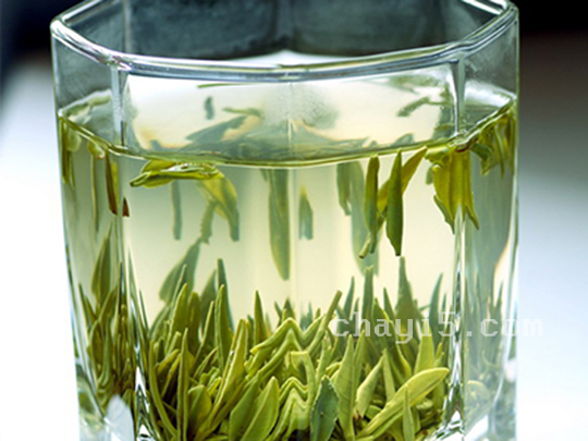 茶叶秦巴雾毫的作用与禁忌
