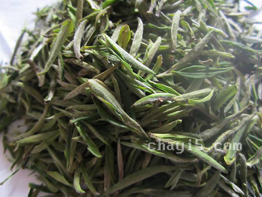 茶叶秦巴雾毫的作用与禁忌