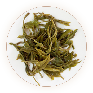 遵义毛峰：小江南的新毛峰