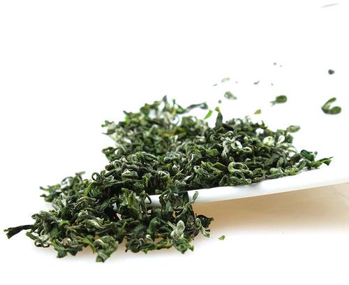 龙舞茶的功效与禁忌事项