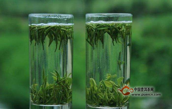 龙舞茶作用